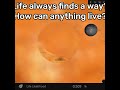 How Many Asteroids Does It Take To End All Life Space Astronomy Simulation Universesandbox Cosmos