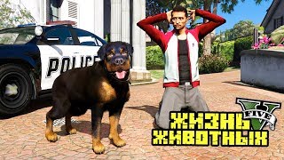 ПЁС ПОЙМАЛ ВОРА! ПОЛИЦИЯ В ШОКЕ! ЖИЗНЬ ЖИВОТНЫХ В GTA 5 МОДЫ