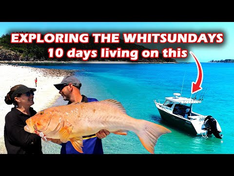 Liveaboard for 10 days exploring the Whitsundays | Ultimate boating & fishing holiday | How & Where