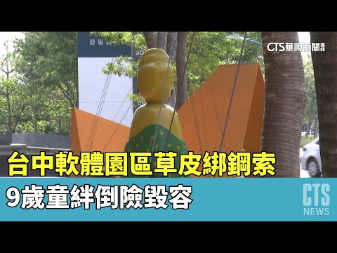 台中軟體園區草皮綁鋼索　9歲童絆倒險毀容