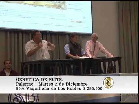 Genética de Elite  - Ventas - Palermo - 02/12/2014
