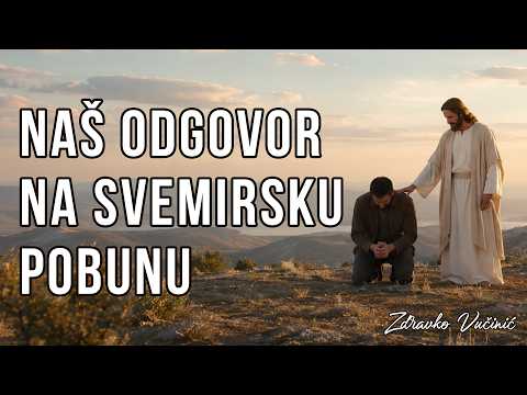 Naš odgovor na svemirsku pobunu, Zdravko Vučinić