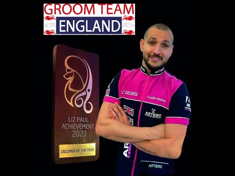 Costi Grooms with Cheryl: a working Spaniel