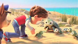 PAW Patrol: The Movie (2021) Film Explained in Hindi / Urdu Full Summarized हिन्दी video