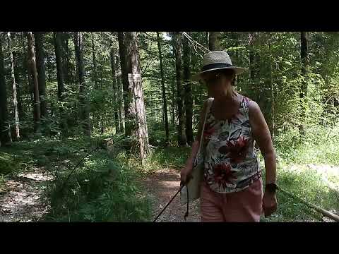 In GIRO con CIRO! -  Val Saisera (o Valbruna)