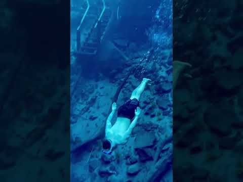 Cada movimento é um mergulho na serenidade, uma jornada única onde o mundo subaquático se revela 🤿✨