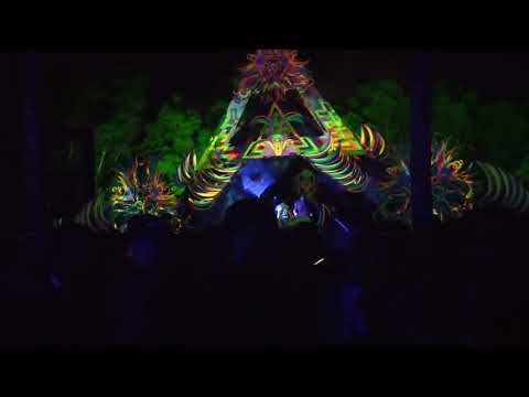 Tijah Live Perfect Line 2022