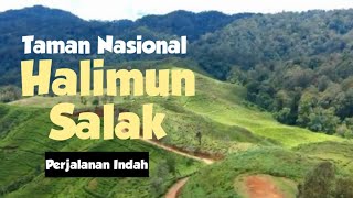 Download lagu Jalan Menuju TAMAN NASIONAL GUNUNG HALIMUN SALAK Bogor jalan menuju Gunung Bunder mp3