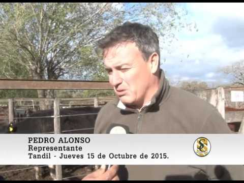 15-10-15 Nota Pedro Alonso - Martin G. Lalor S.A. - Tandil.