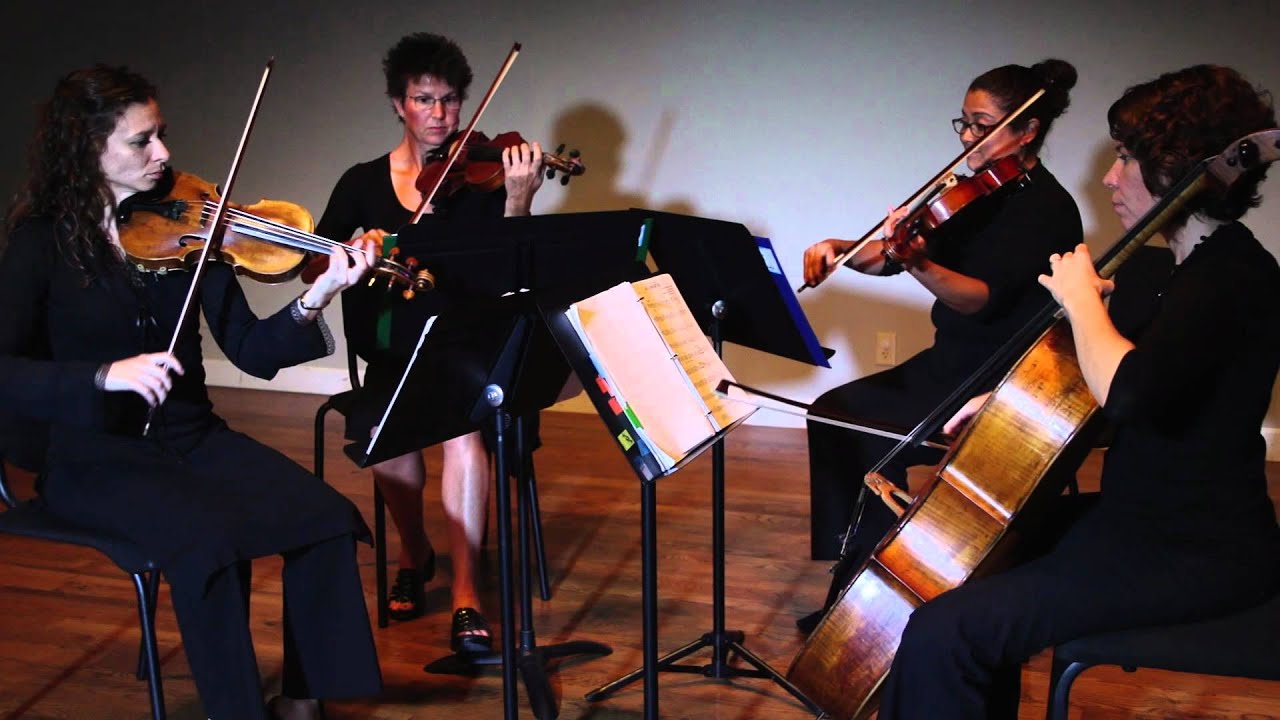 Promotional video thumbnail 1 for Musical Discovery Chamber Players