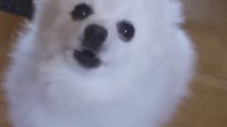 Cover art for never gunna gabe u up