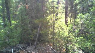 Passing a creek on the Potato Mountain Loop.