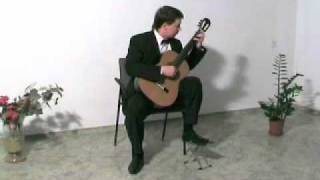 Dmitry Murin - Francesco Tarrega "Mazurka Marieta" & "Caprice Arabe"