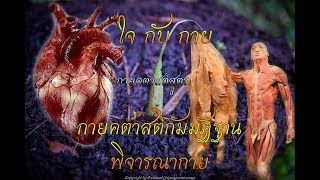 กายคตาสติสูตร สติกำหนดพิจารณากาย