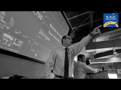 2015 Gold Coast Yearling Sale Day 4