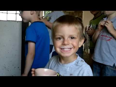 Agroturystyka Pod Brzozami Dojenie Krowy