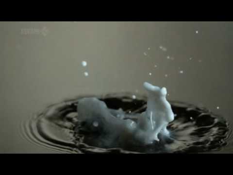 Richard Hammond's Invisible Worlds - Water Strider