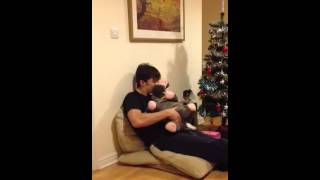 Alan having sex with hippo