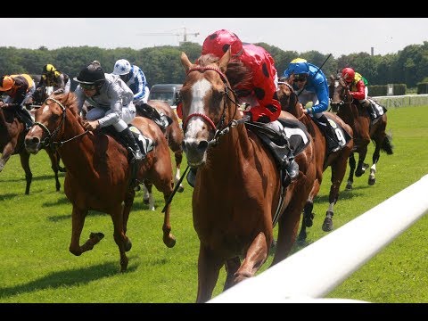 Dresden: Großer bwin Sommerpreis (L) - Sieger: Cashman