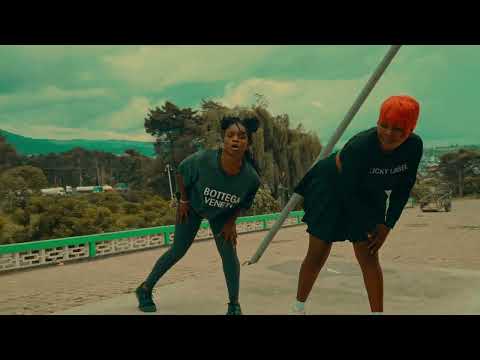 Elly D  FT Baddest 47 -  Hao (official dancing video)