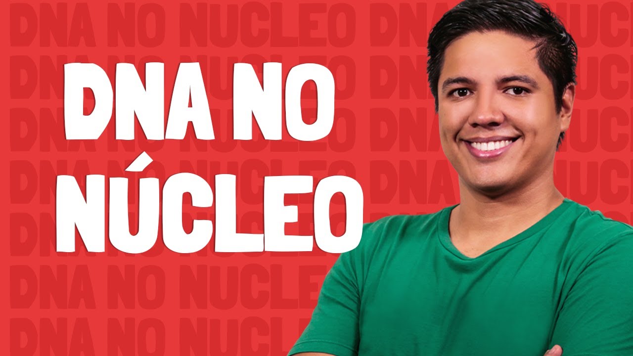 DNA no Núcleo - Prof. Kennedy Ramos.