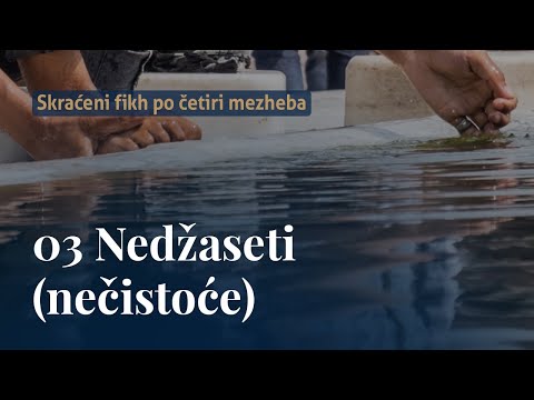 Nedžaseti (nečistoće) - dr. Zijad Ljakić