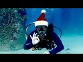 Happy Holidays From Everything Scuba
