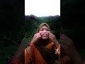 PENAMPAKAN MONSTER DI BELAKANG SREPEPET