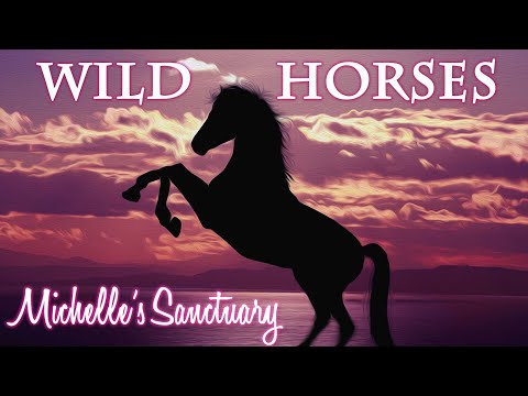 download lagu mp3 mp4 Ride The Wild Horse Meditation, download lagu Ride The Wild Horse Meditation gratis, unduh video klip Download Ride The Wild Horse Meditation Mp3 dan Mp4 Full Gratis