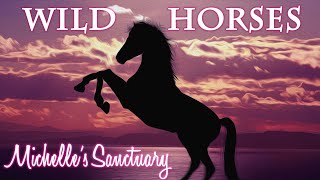 Autumn Sleep Story and Bedtime Meditation ASMR: Wild Horses