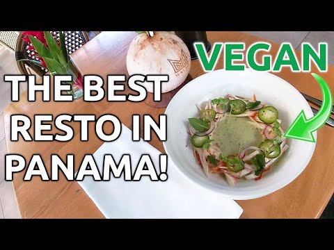 The Vegan Tasting Menu at Maito: The Best Restaurant in Panama