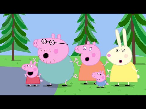 Peppa Pig Full Episodes |Lost Keys #116