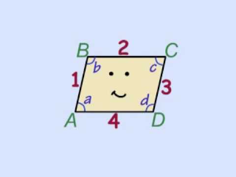 I am a parallelogram by Peter Weatherall