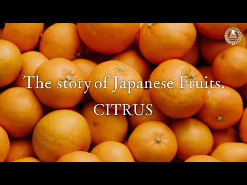 The Story of Japanese Fruits. – Citrus (English)