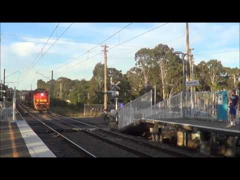 4204 and 4903 on LVR's Blue Zephyr