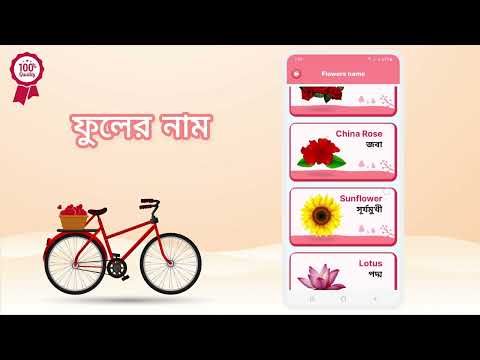 Kindergarten - শিশু শিক্ষা
