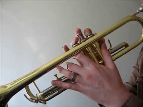 Learn to play D blues scale on trumpet