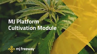 MJ Platform - Cultivation Demo
