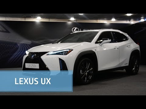 Lexus UX | Toma de contacto | Diariomotor