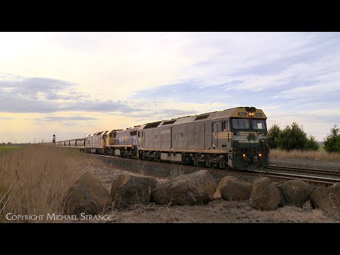 7738V Pacific National Grain Train With G523 X48 BL27 (20/10/2023) - PoathTV Australian Railways