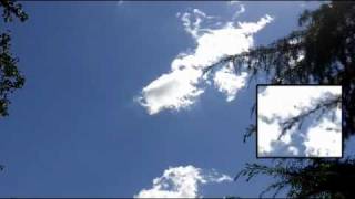 preview picture of video 'UFO caught on camera nei cieli di Mogliano Veneto (Treviso   Italy) 30 luglio 2010 h.15.00'