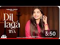 Dil Laga Liya Maine Cover Susmita Lovely Dil Hai Tumha
