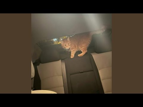 money v2 (feat. nxydo)