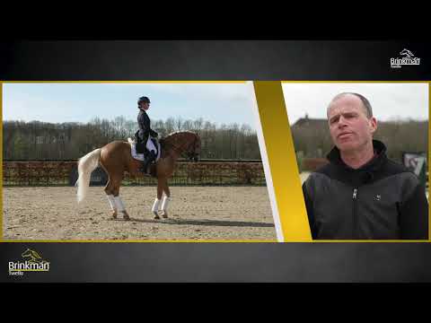 Bosco Benicio x Quaterback