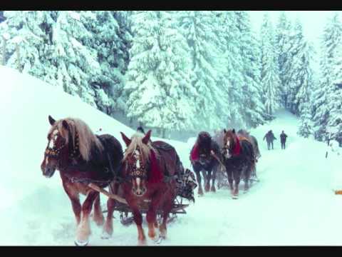 ANGELA BUCIU-MARAMURESUL RASUNA.wmv