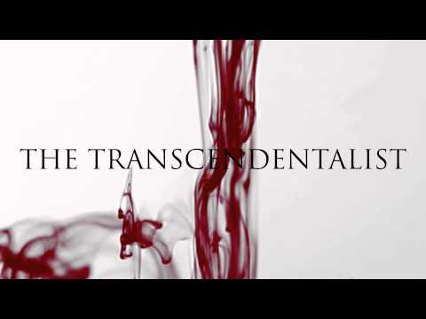 The Transcendentalist by Ivan Ilić — Trailer