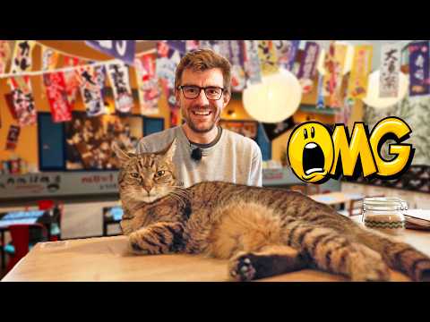 Prague Challenge: Guide Follows Your Quirky Tourist Tips