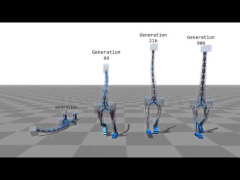 Kung Fu Junkie - dcqc#