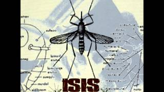 Isis - Steetcleaner