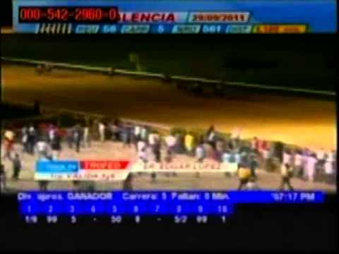 Resumen Jueves, 29 de Septiembre de 2011 - Valencia